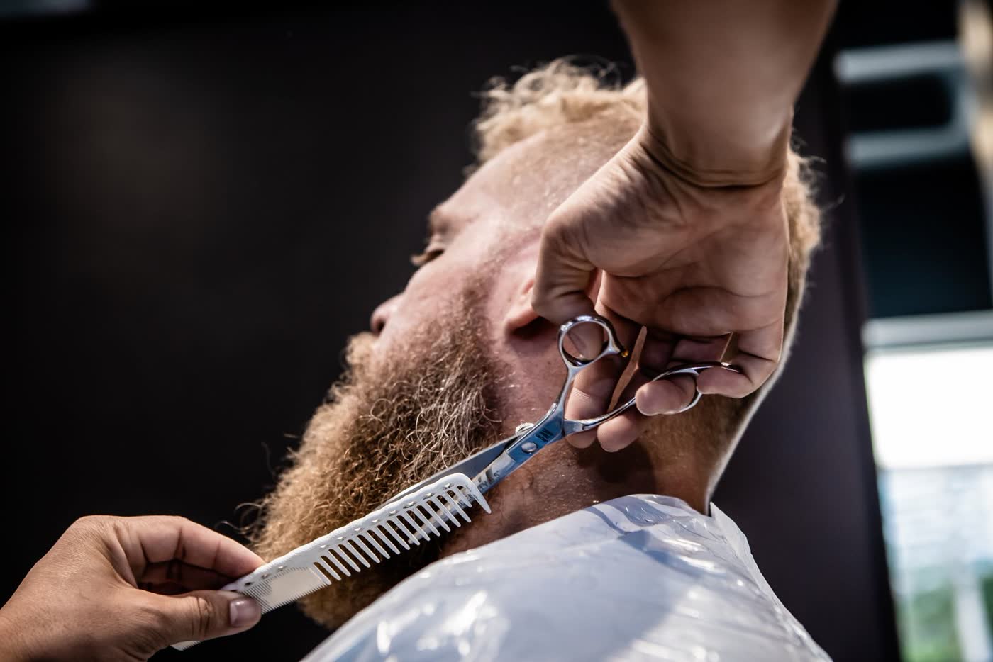 Barber combing a beard before trimming